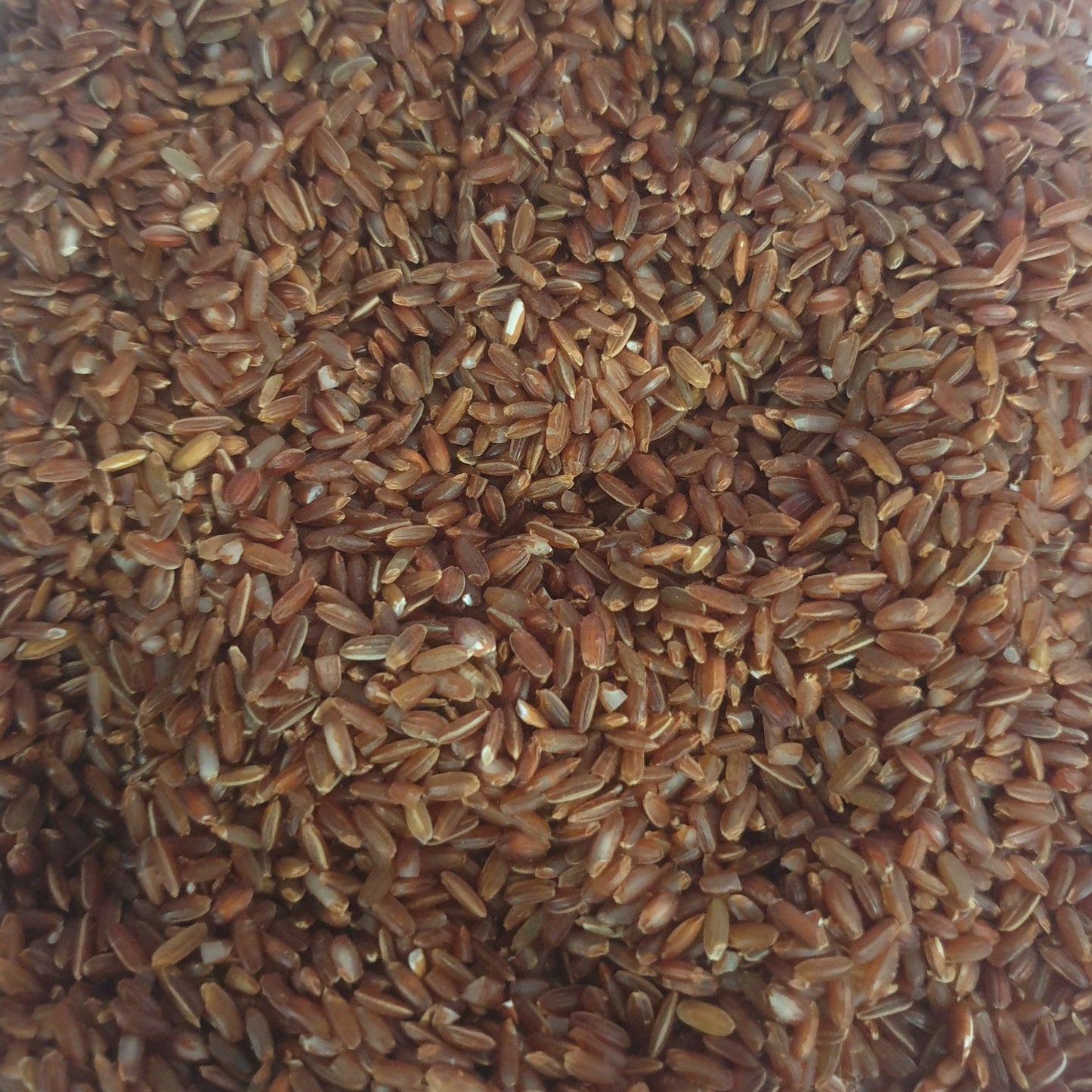 Rakthasali Rice