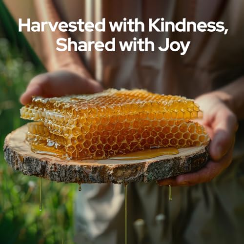 Bagrry's Organic Honey, Premium, Pure, Natural Organic Honey 500gm Food Care INDIA