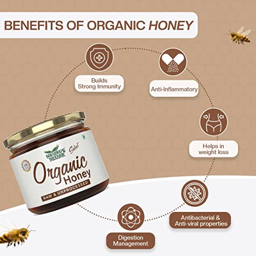 Nature's Nectar Raw Organic Honey 400g Food Care INDIA
