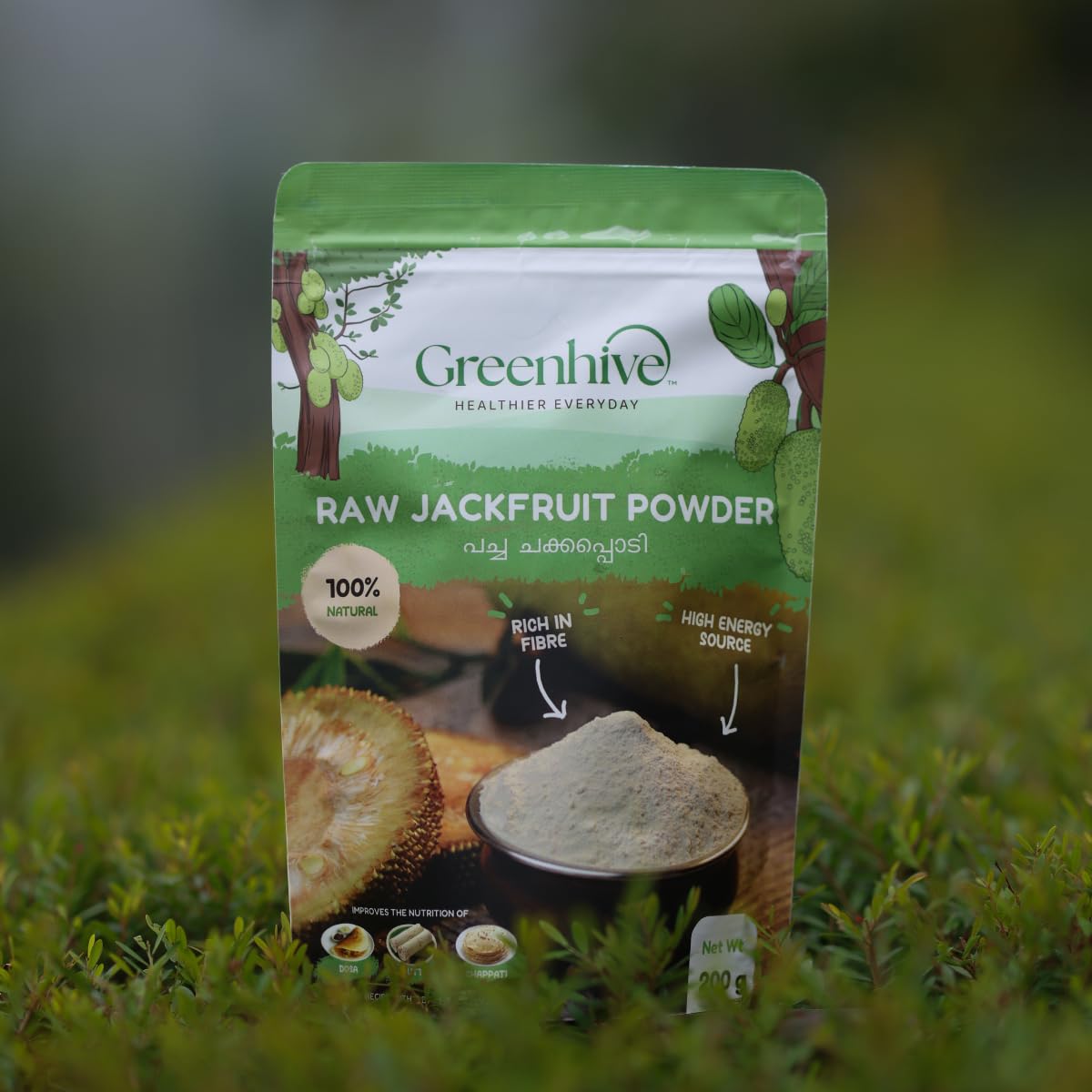 Jackfruit Powder 200gm Food Care INDIA