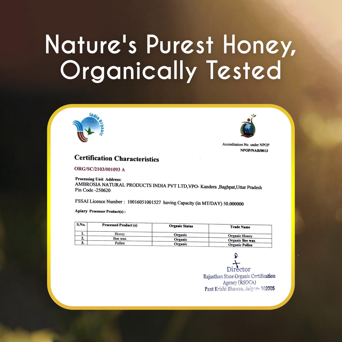 TruSoul by Baidyanath Raw Organic Honey - 500gm Food Care INDIA