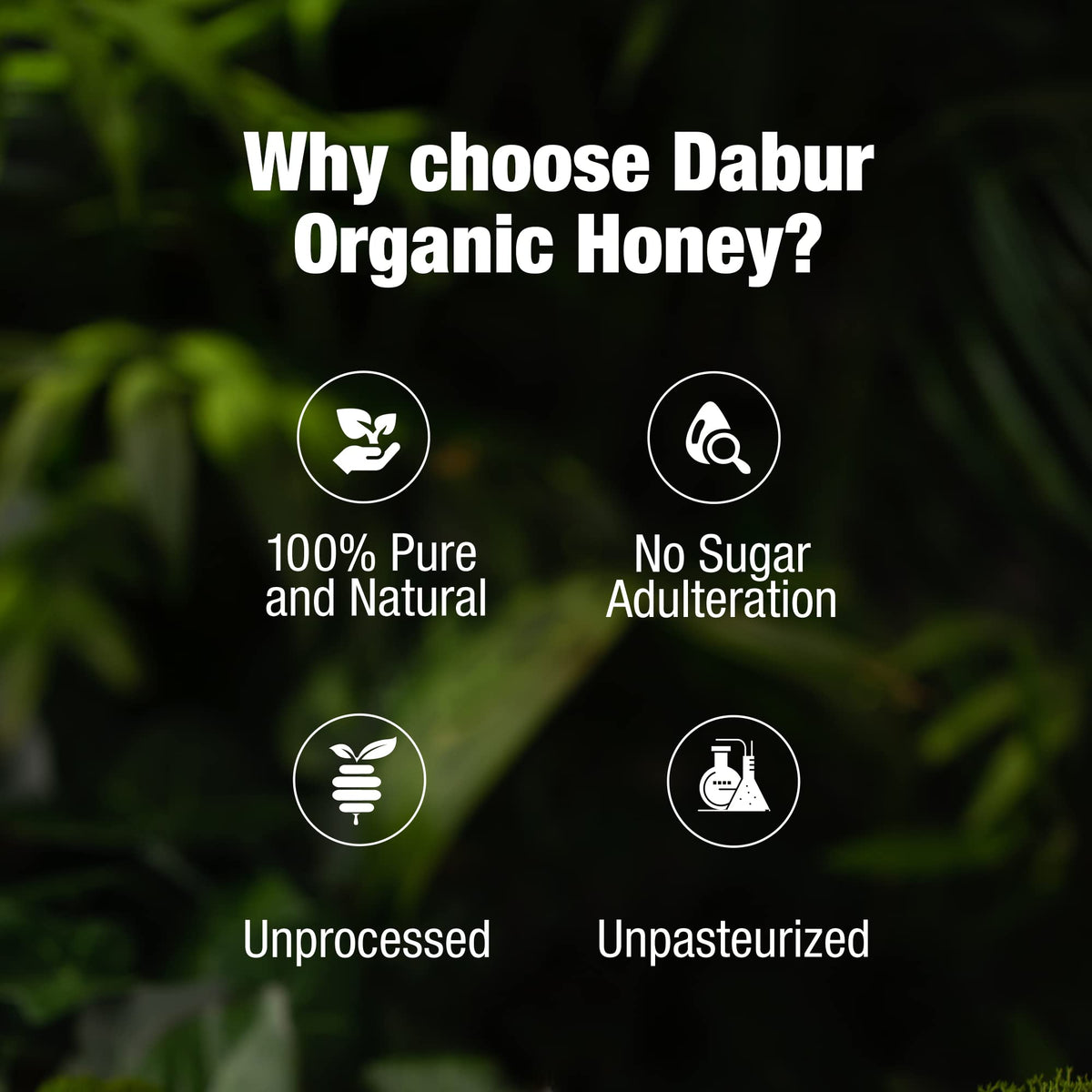 Dabur Raw Organic Honey - 500g Food Care INDIA