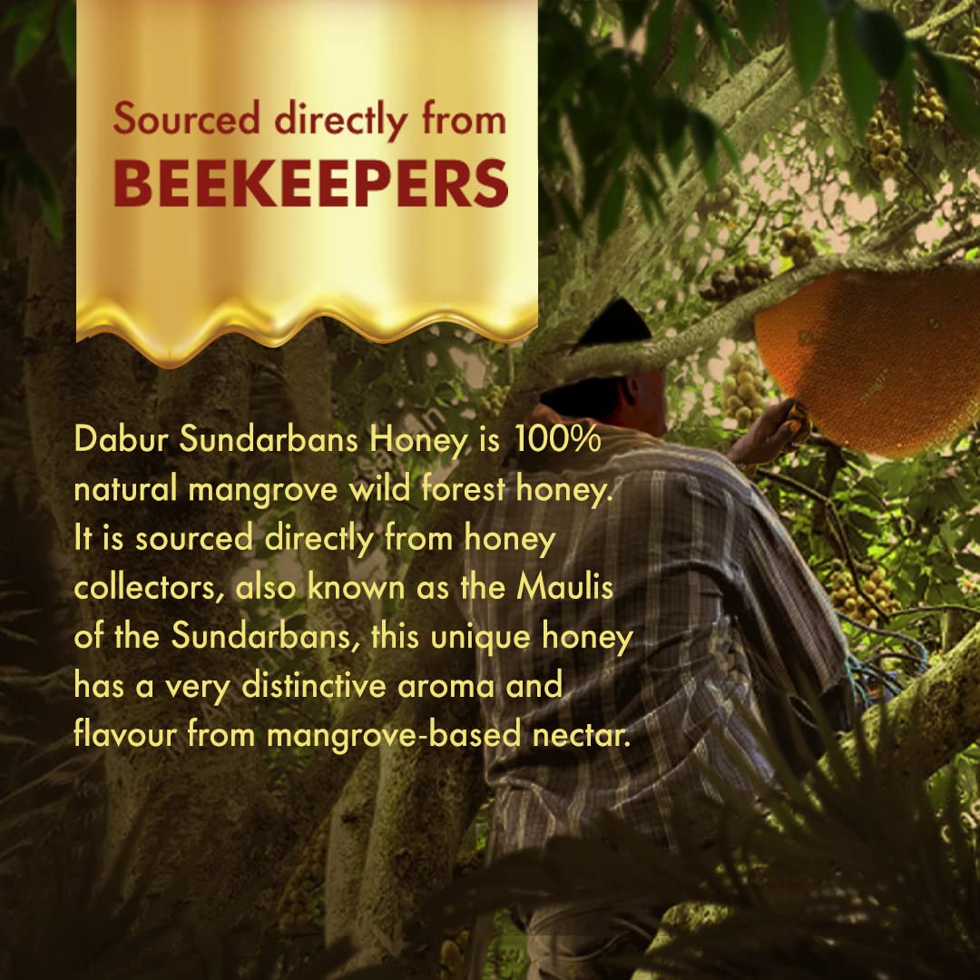 Dabur Honey Sundarbans - 500g Food Care INDIA