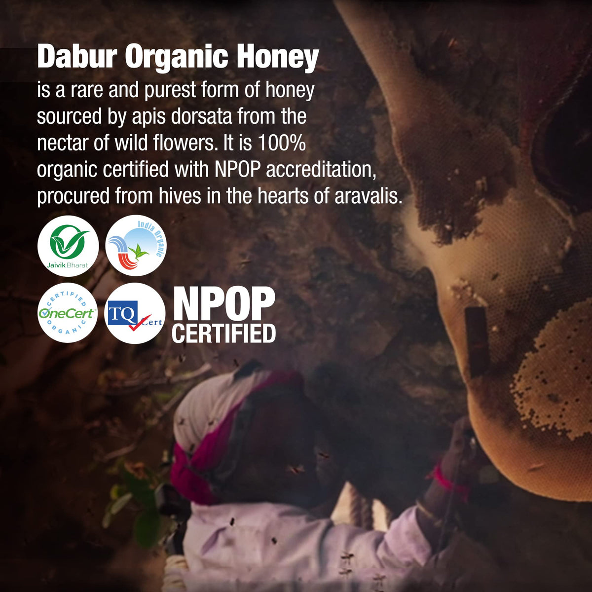 Dabur Raw Organic Honey - 500g Food Care INDIA