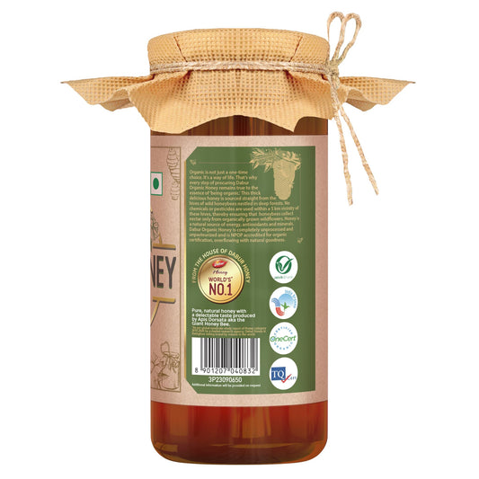 Dabur Raw Organic Honey - 500g Food Care INDIA