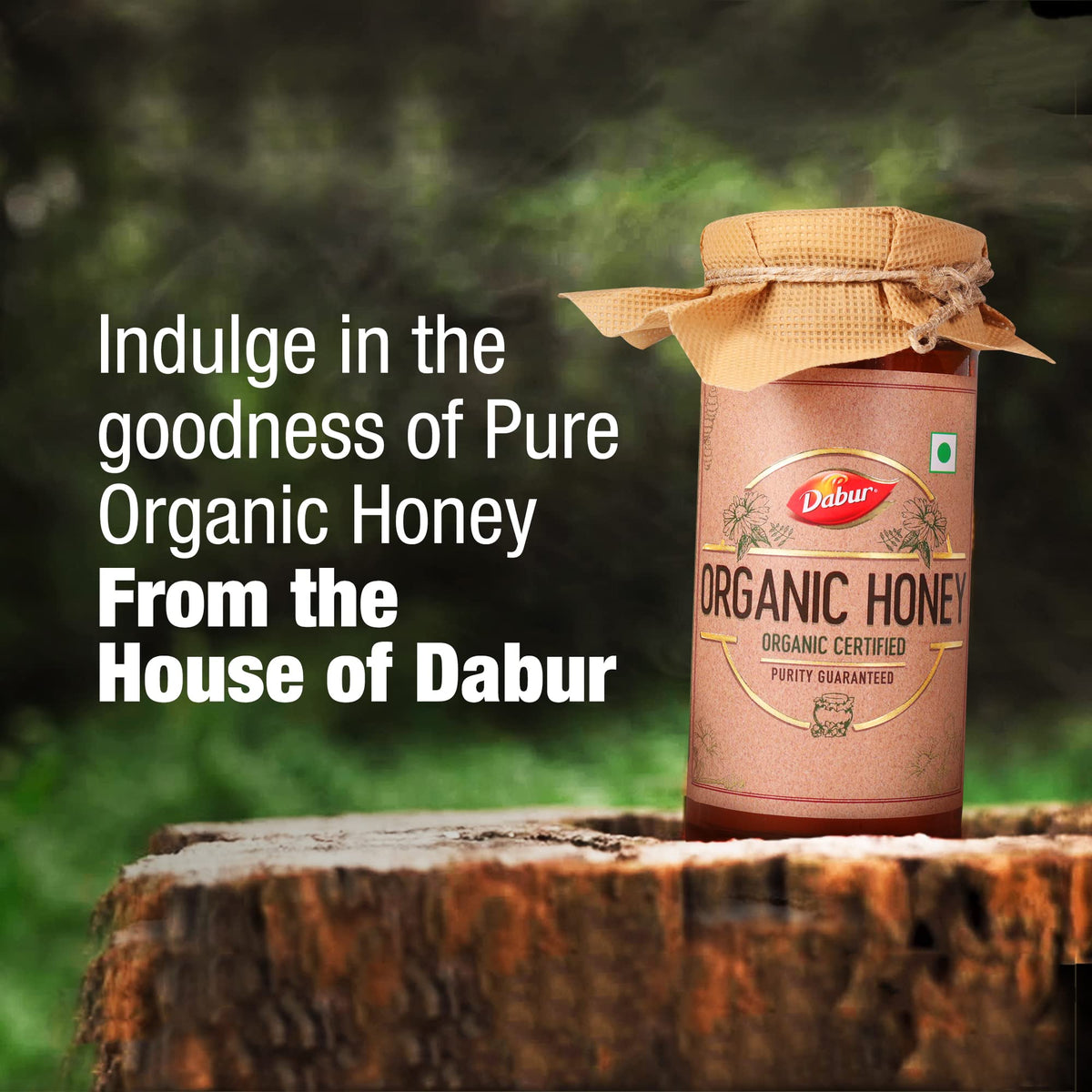 Dabur Raw Organic Honey - 500g Food Care INDIA