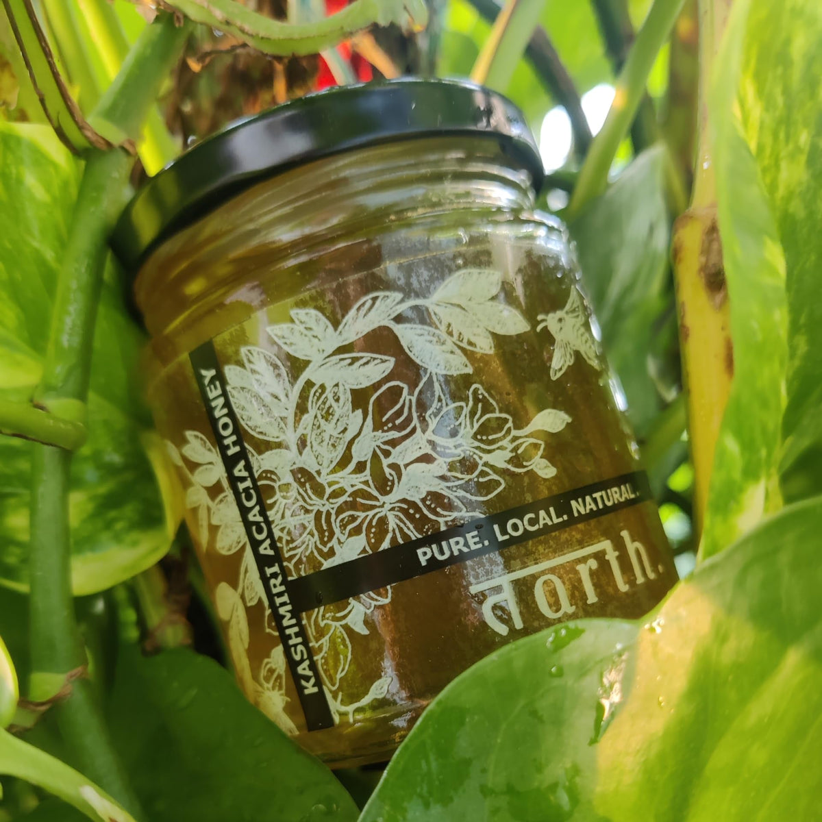 Tarth Raw Kashmiri Acacia Honey (250g) Food Care INDIA