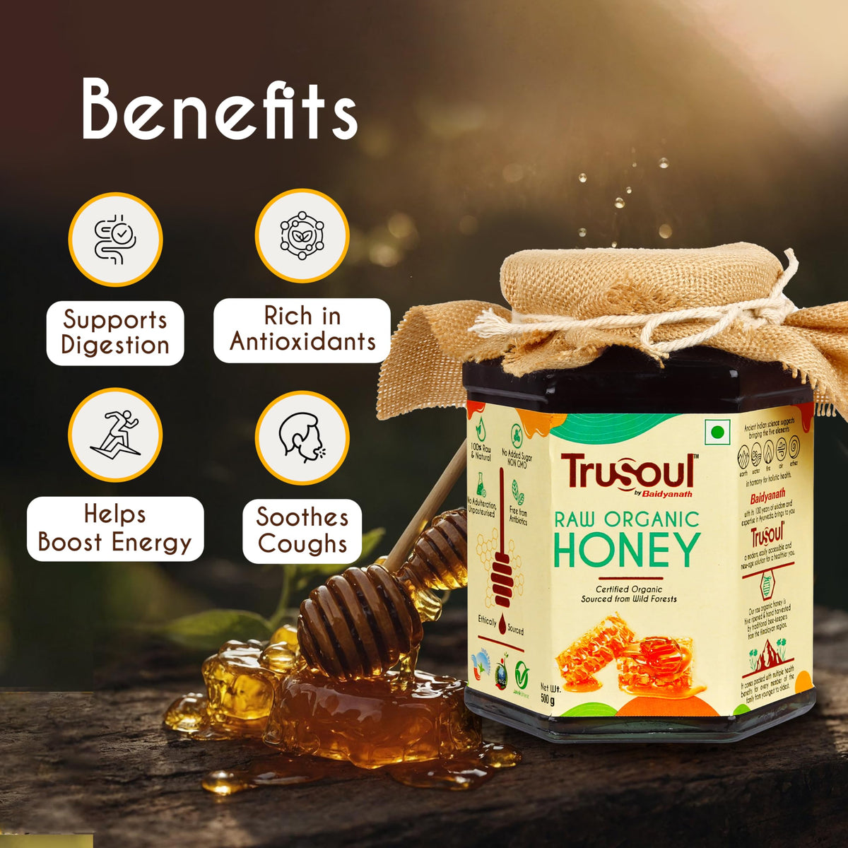 TruSoul by Baidyanath Raw Organic Honey - 500gm Food Care INDIA