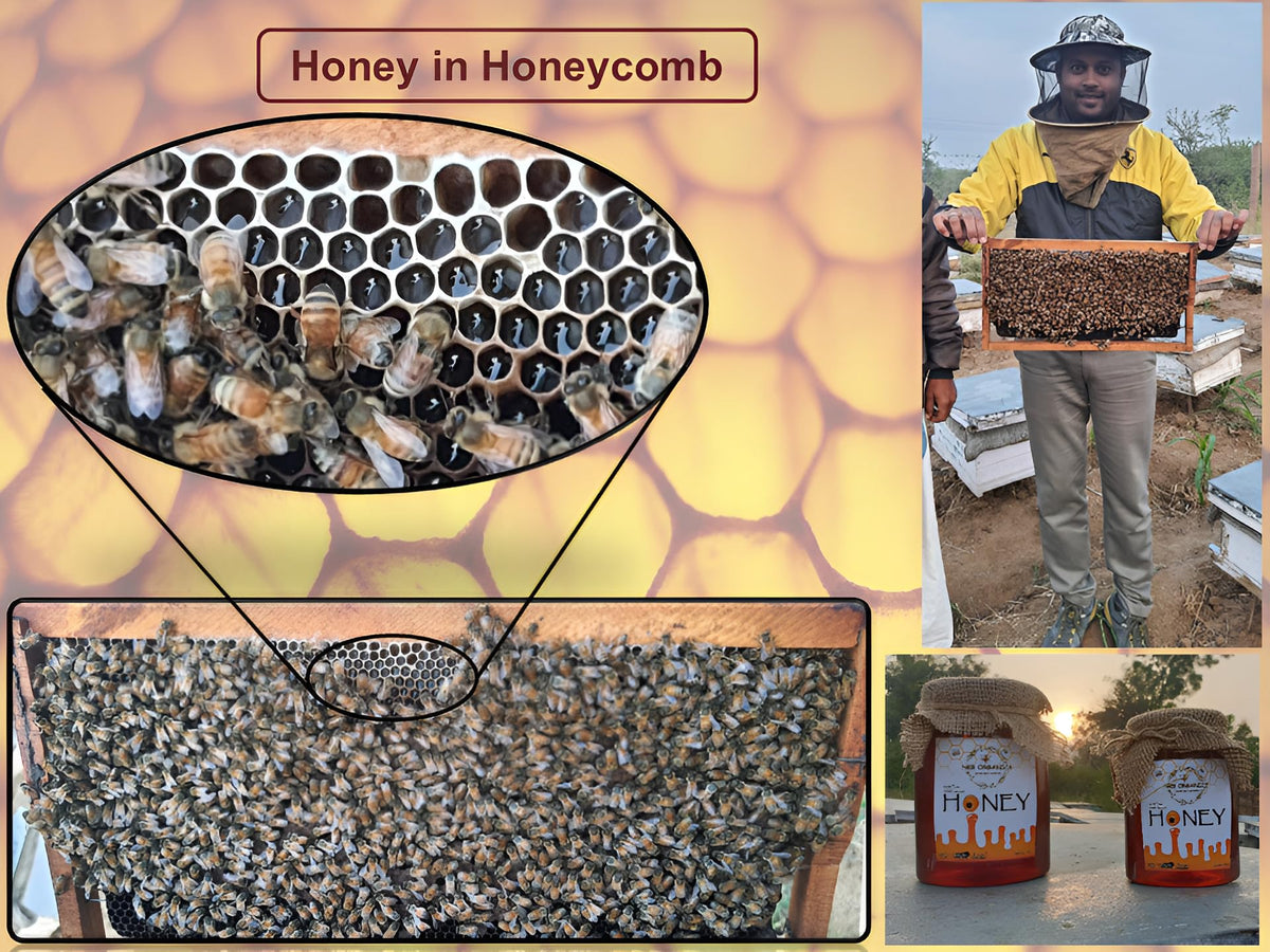 NKB Organics - Raw Organic Wild Forest Honey Food Care INDIA