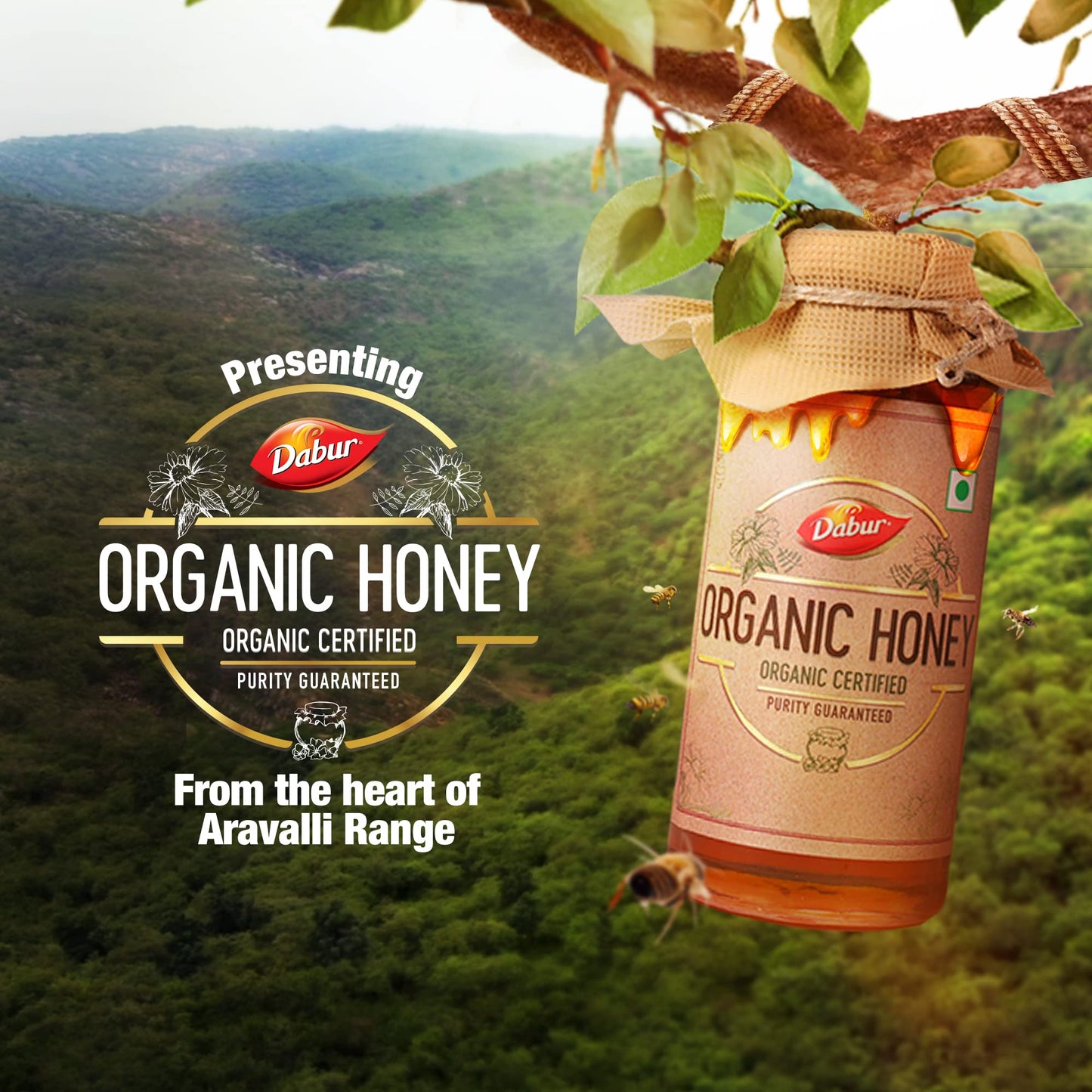 Dabur Raw Organic Honey - 500g Food Care INDIA