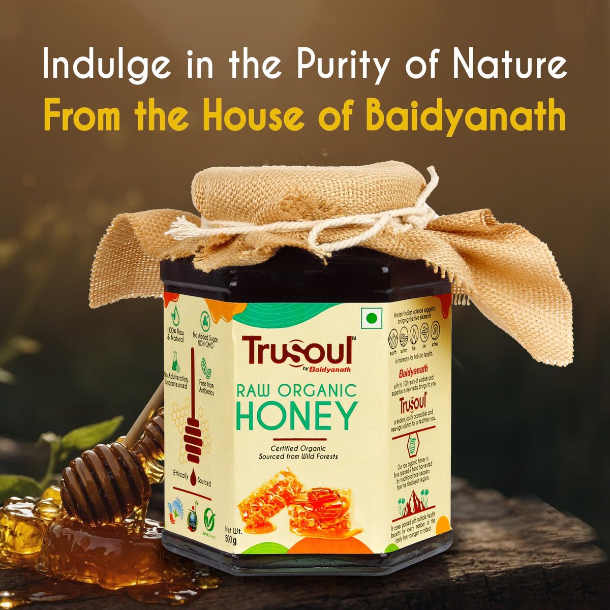 TruSoul by Baidyanath Raw Organic Honey - 500gm Food Care INDIA