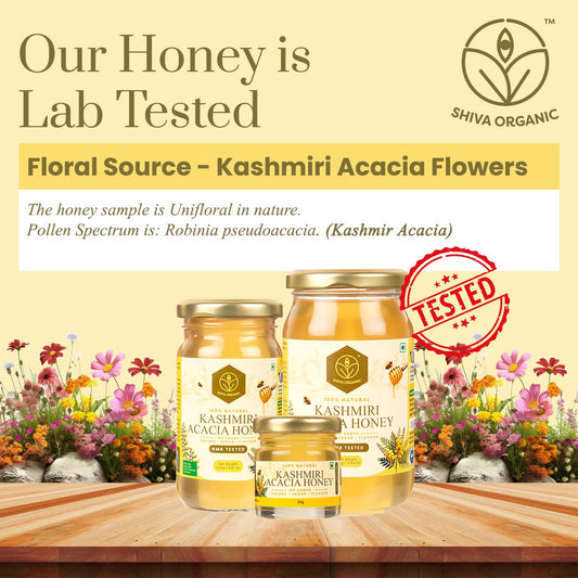 Shiva Organic Kashmiri Acacia Honey - 500g Food Care INDIA
