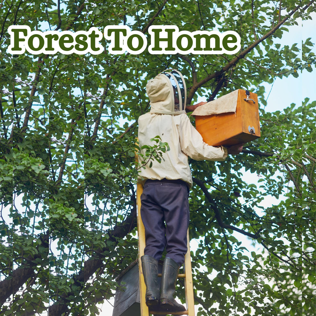 Maverick Wild Forest Honey Food Care INDIA