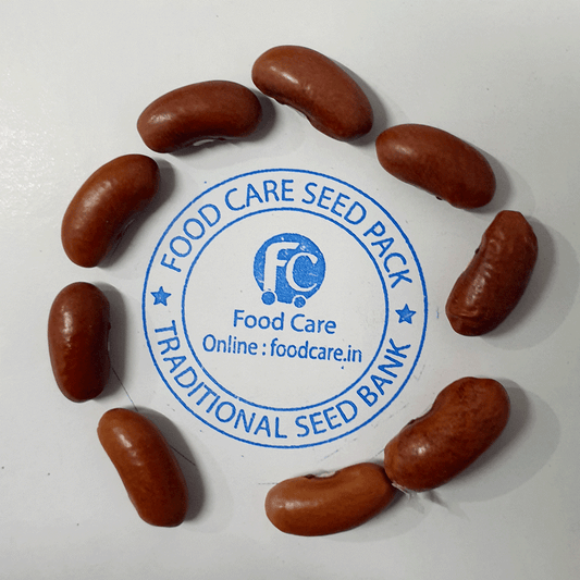 Bean seeds Pack