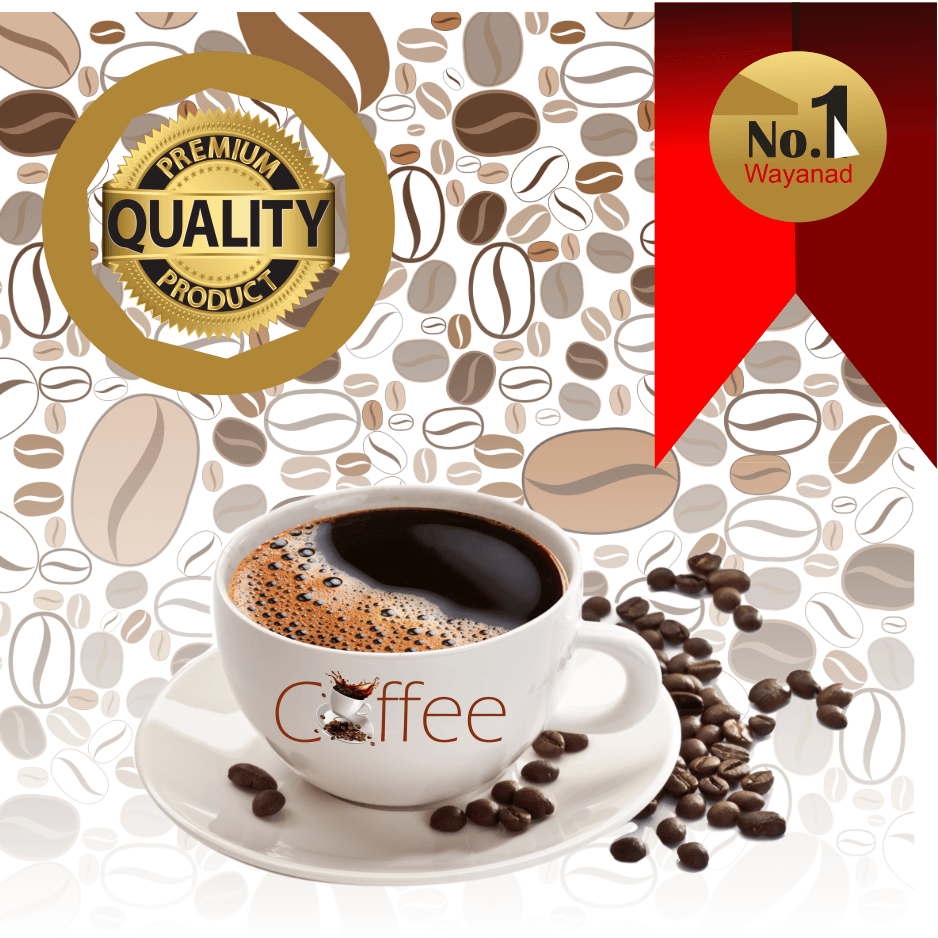 Masala coffee 50 gm Food Care INDIA