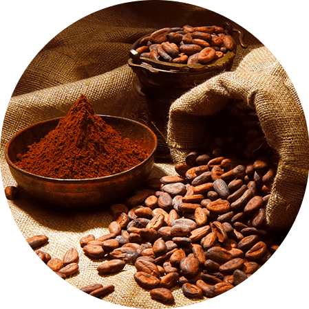 Coffee Powder Food Care INDIA
