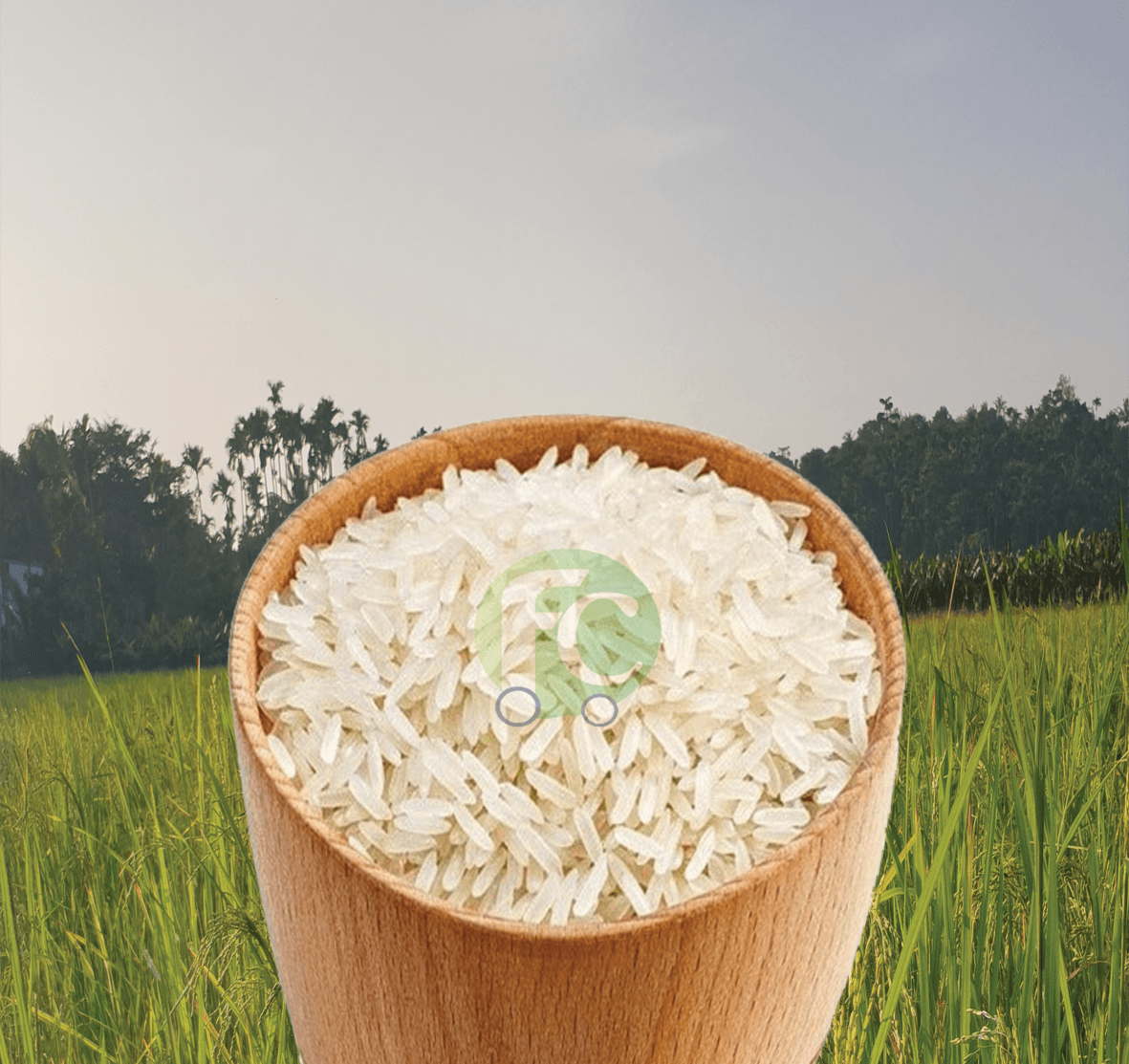 Gandhakasala GI Rice Food Care INDIA
