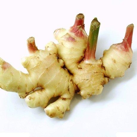 Ginger Seed (Selected) Food Care INDIA