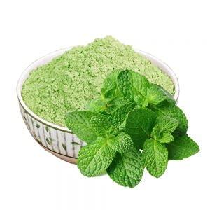 MINT LEAF POWDER 50g Food Care INDIA