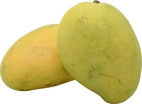 Mango (Priyoor) Food Care INDIA Market