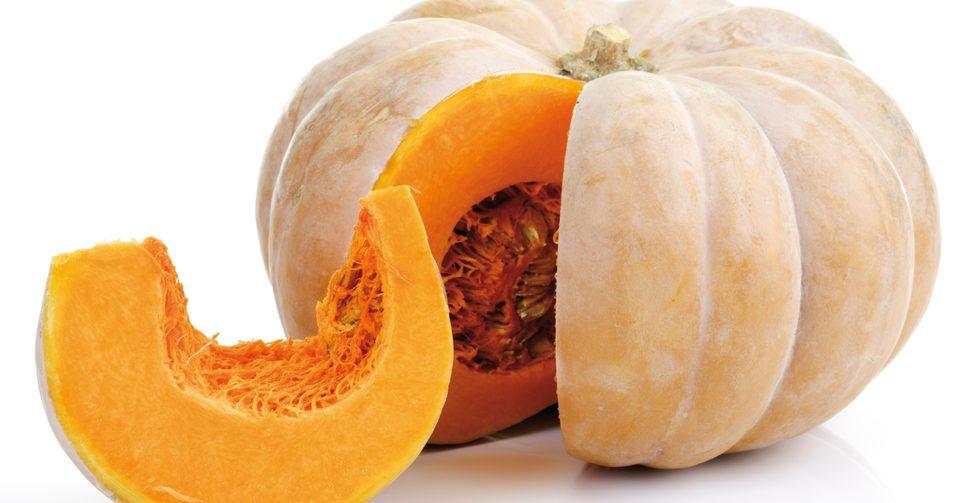Pumpkin Food Care INDIA Market