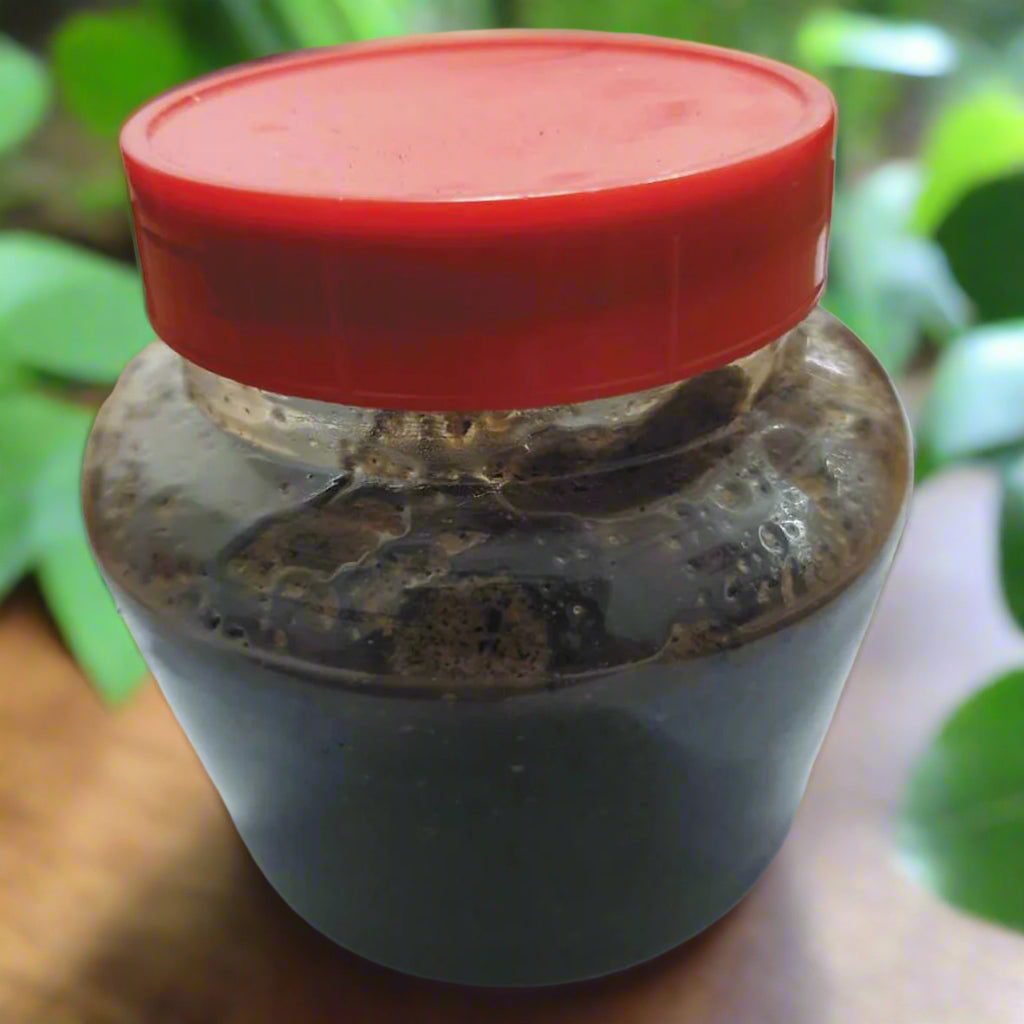 Spices Honey Food Care INDIA