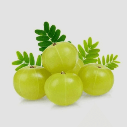 Village Amla 4 kg Box Food Care INDIA