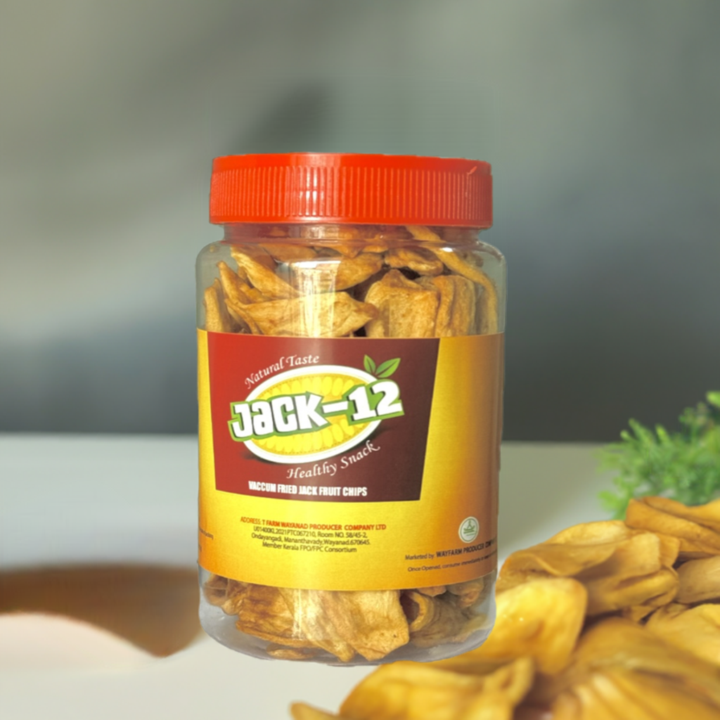 Dried Jackfruit Chips Food Care INDIA