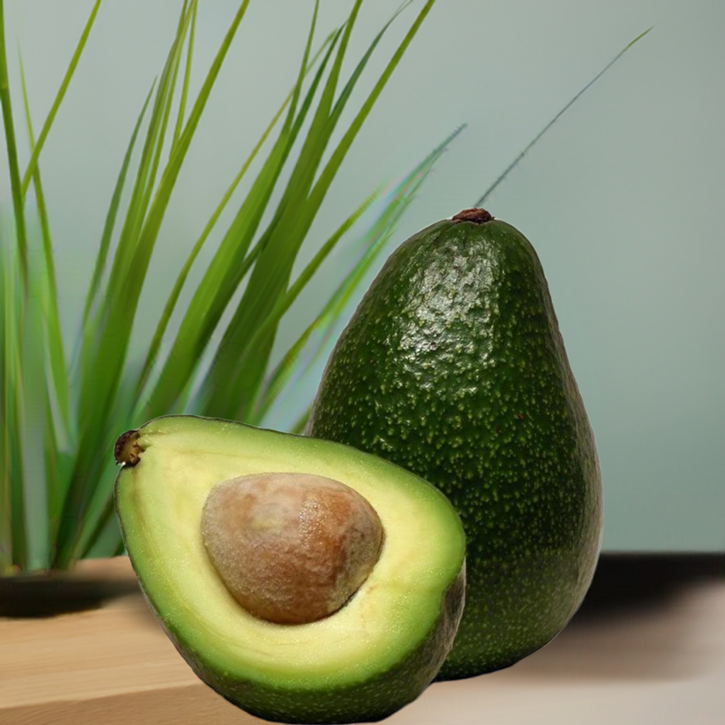 Avocado fruit 5 Kg Box Food Care INDIA