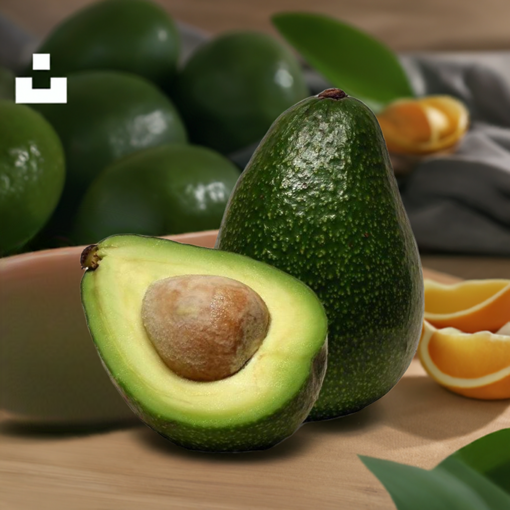Avocado fruit 5 Kg Box Food Care INDIA