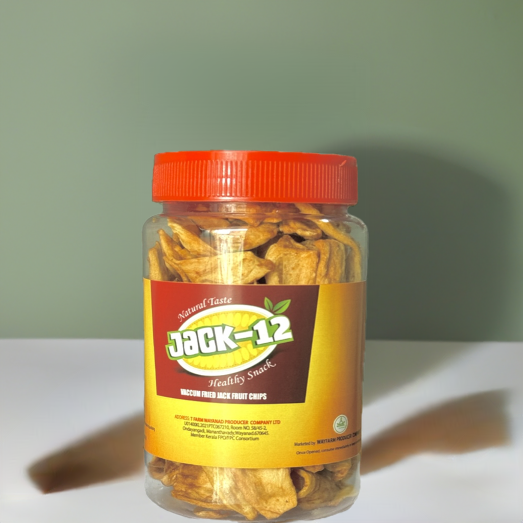 Dried Jackfruit Chips Food Care INDIA