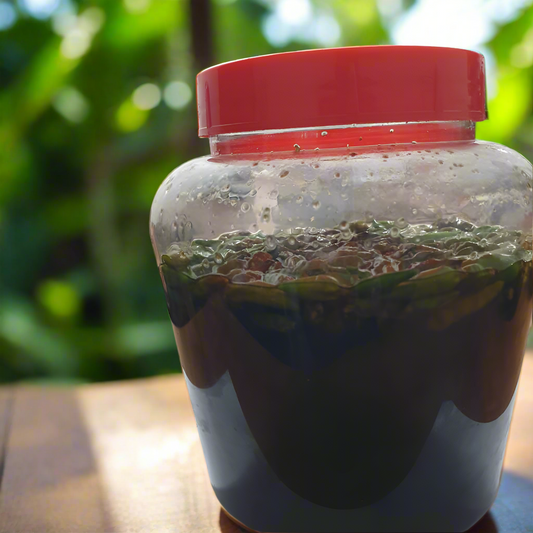 KANTHARY HONEY Food Care INDIA