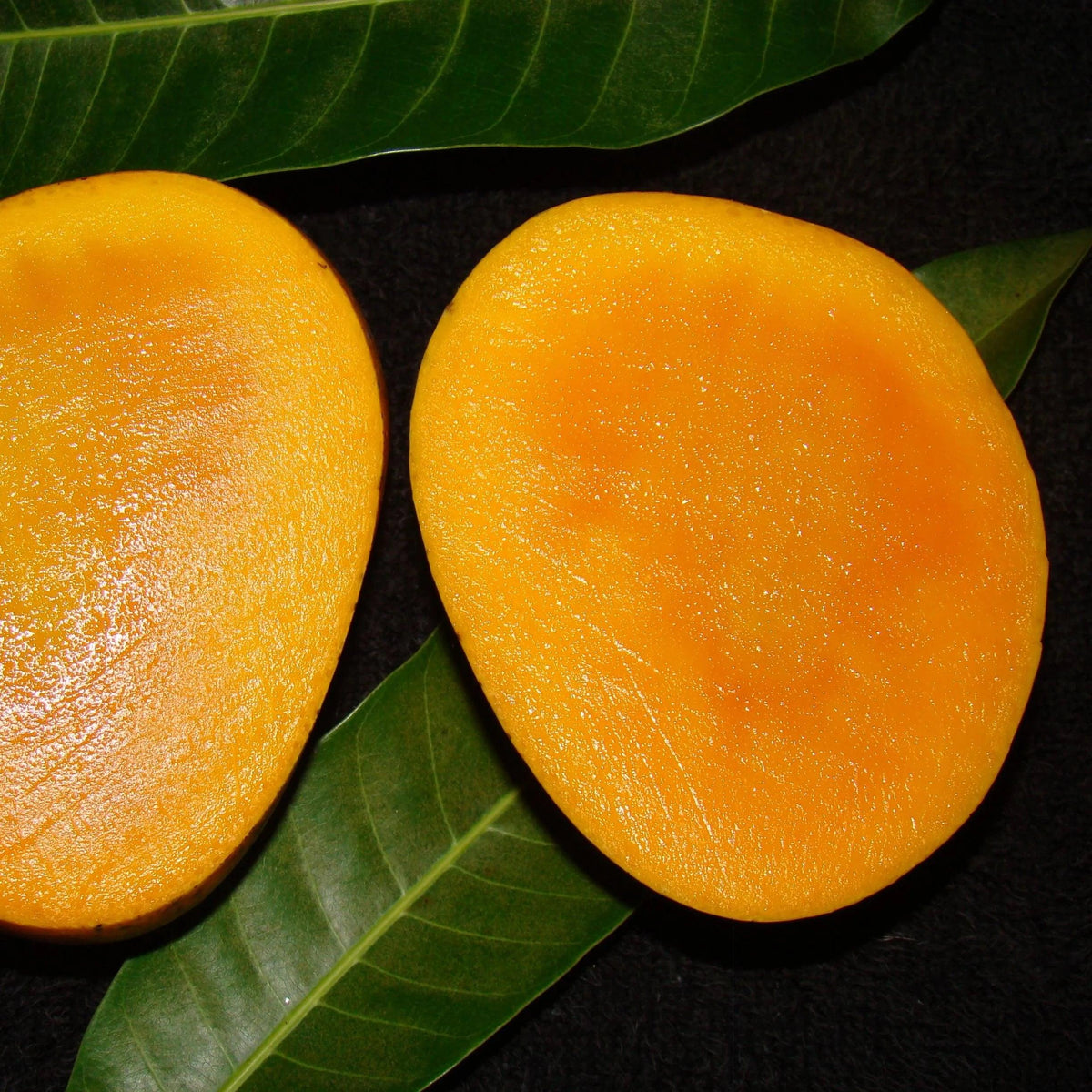 Variety of mango fruit Pack -4kg Food Care INDIA