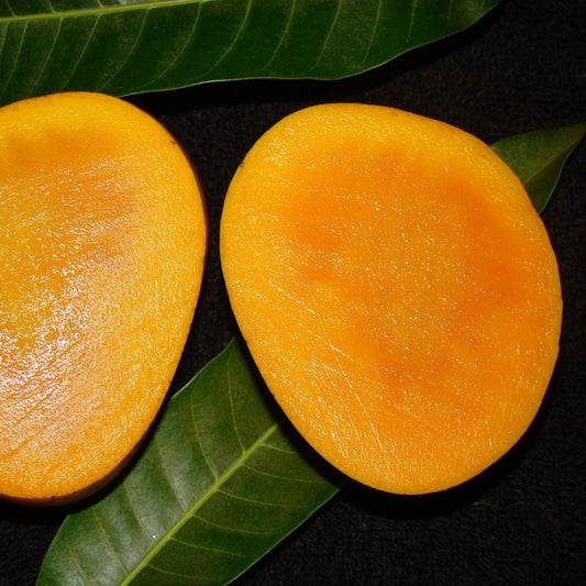 Variety of mango fruit Pack -4kg Food Care INDIA