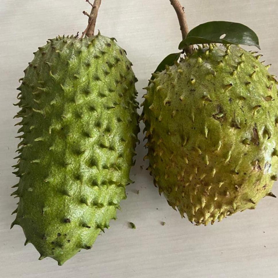 Soursop ,Mullu Seetha Pazham, Mullatha , Mullu Chakka, Hanuman Phal, Lakshman Phal 4.Kg Pack Food Care INDIA