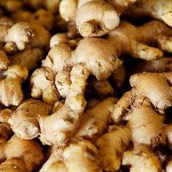 GINGER SEED (selected) - Food Care INDIA