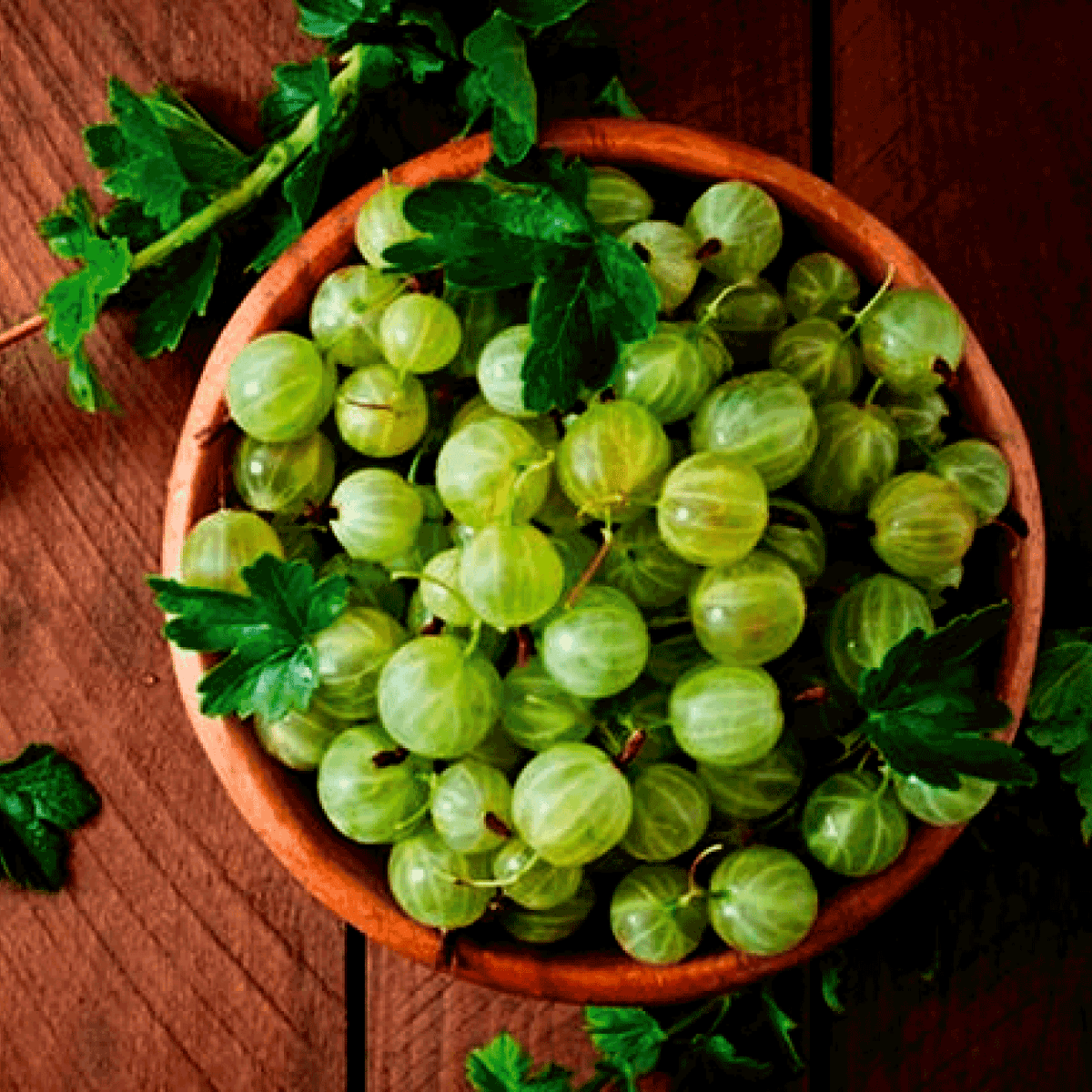 Village Amla 4 kg Box Food Care INDIA
