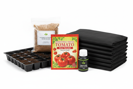 One Box pack of Seed Pack 1:1 Size -Traditional Indian Tomato
Seeding Tray - 40 (For Seed Germination)
Cocopeat + Manure + Nutrition Mix
Quality Plastic Grow Bag
Tobacco Mix - Natural Pesticide 50gm bottle