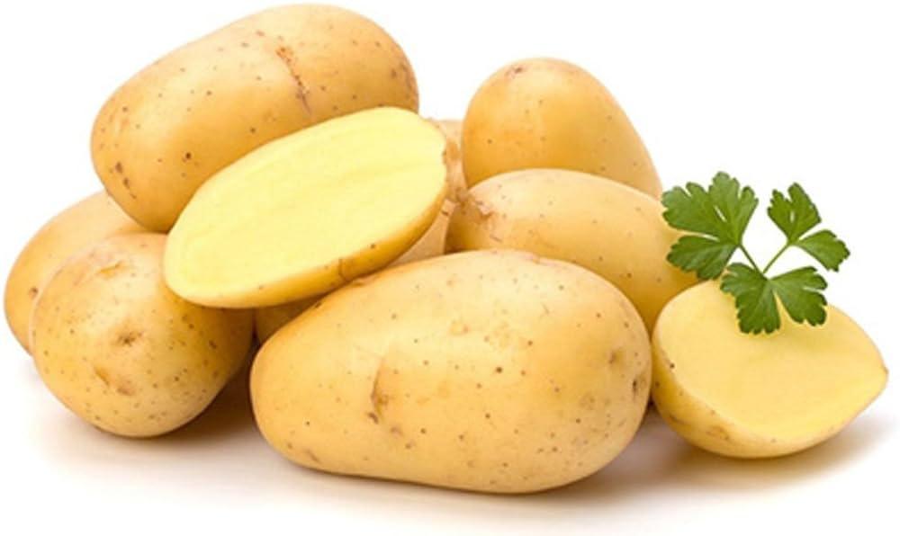 Potato Food Care INDIA Market