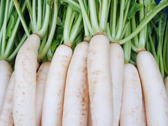 Radish White Food Care INDIA Market