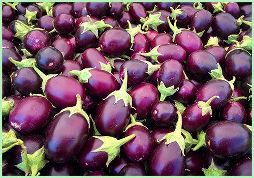 Brinjal Purple Round Seed Food Care INDIA