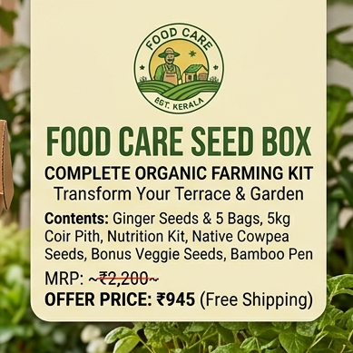 Food Care Seed Box - Free Shipping Food Care INDIA