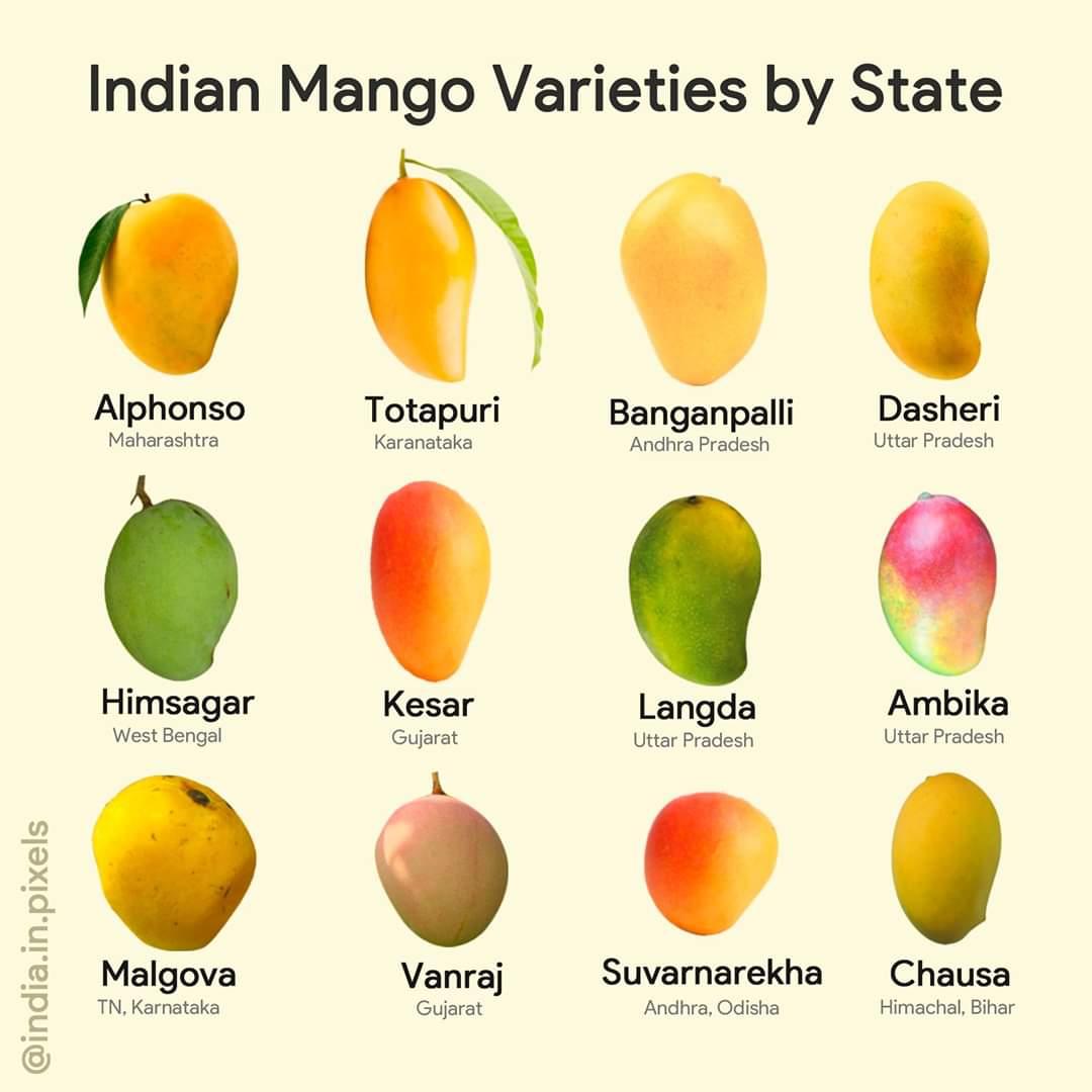 Variety of mango fruit Pack -4kg Food Care INDIA