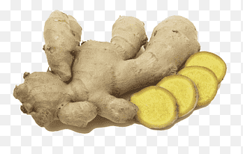 Dry Ginger Food Care INDIA