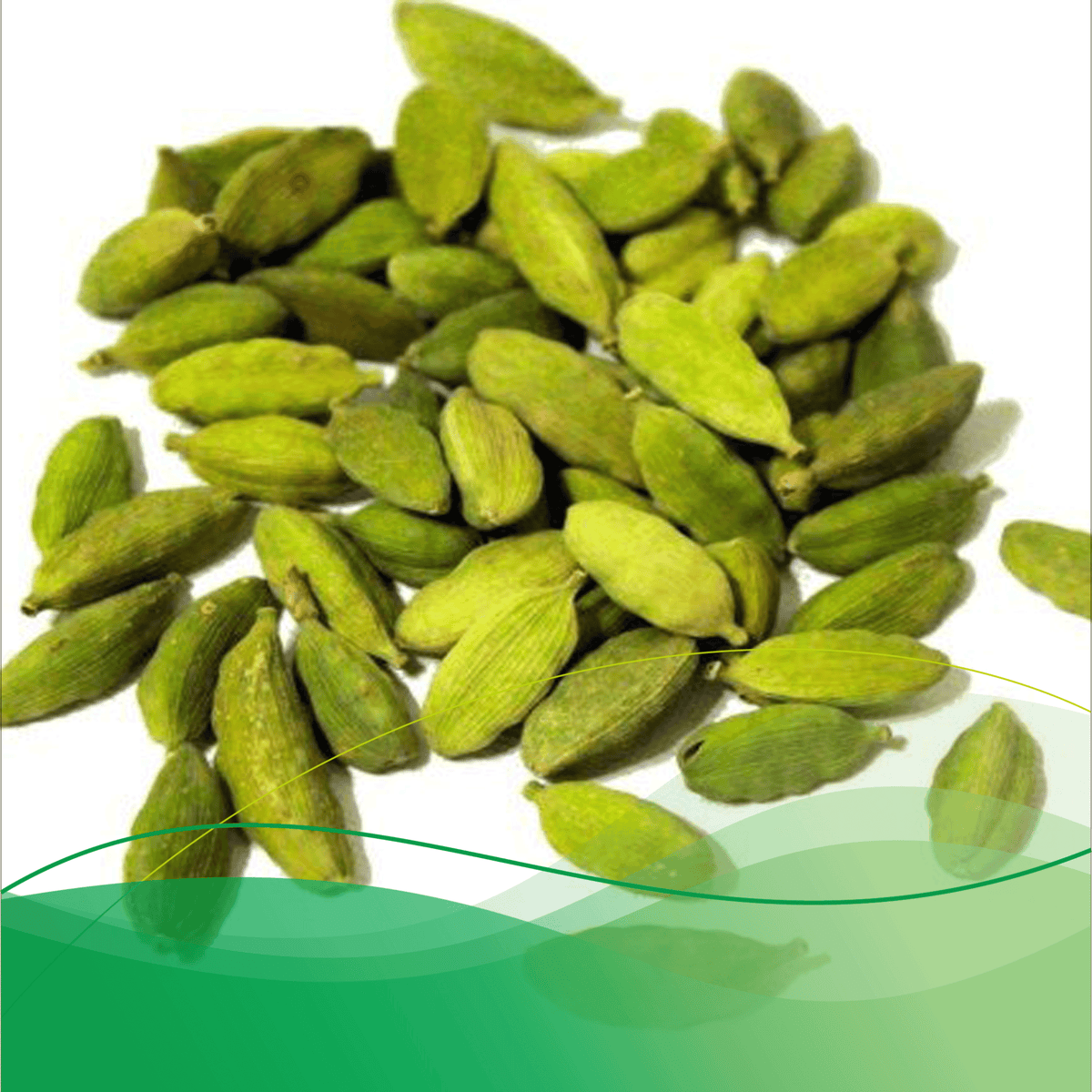 Bold Green Cardamom Whole | Bold 8mm Elaichi Green | Hari Elaichi | Badi Elaichi Food Care INDIA