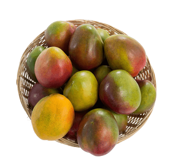 Mango 3-5.Kg Pack ( Mixid Pack ) - Food Care INDIA