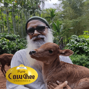 Premium Cow Ghee Food Care