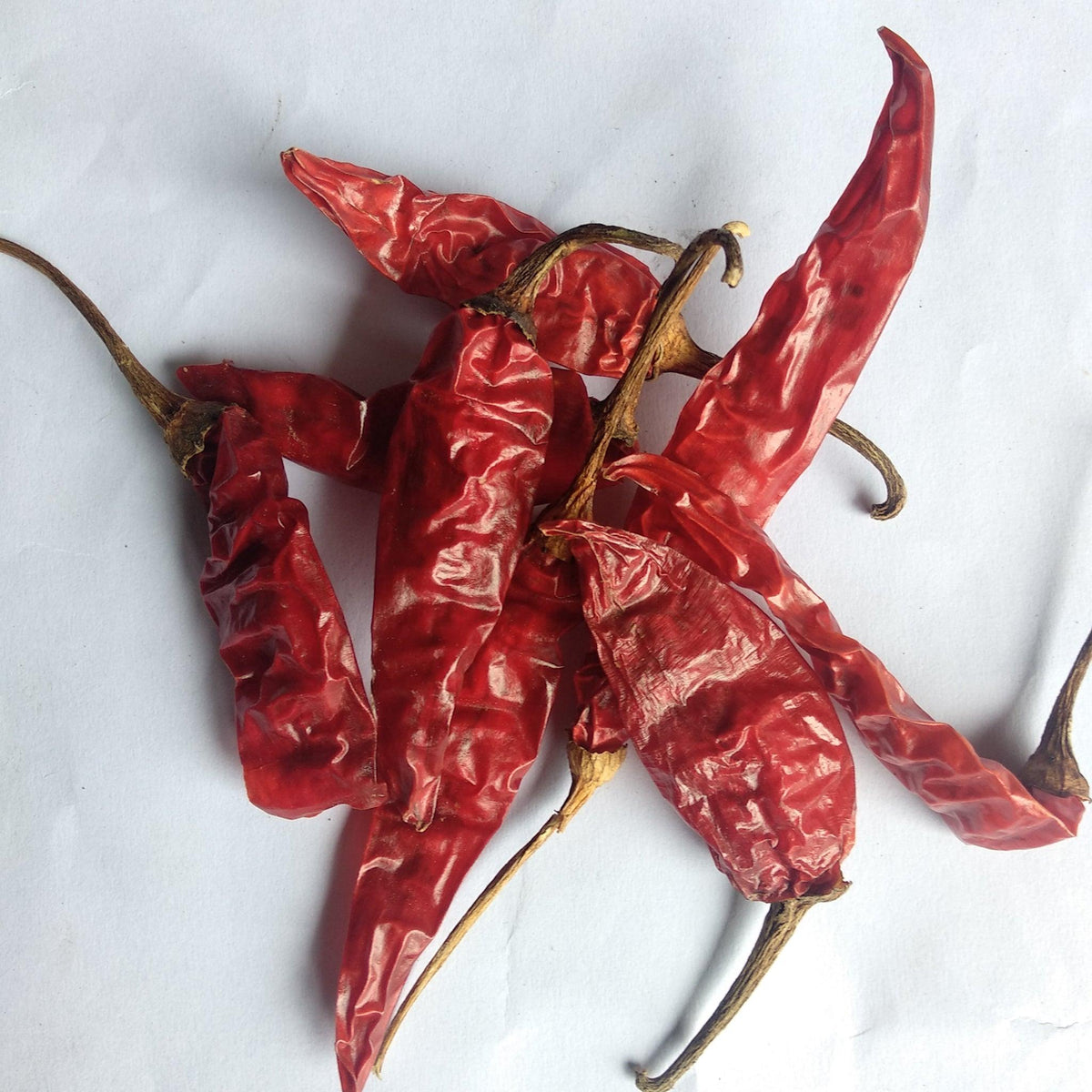Red Chilli - Dry - Food Care INDIA