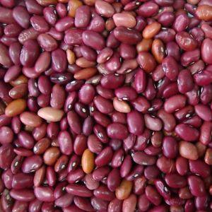 Cowpea ( Kullattada ( Govt.Of Kerala Approved ) Kutti payar Seed - Food Care INDIA
