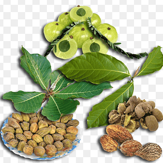 Triphala powder Food Care INDIA